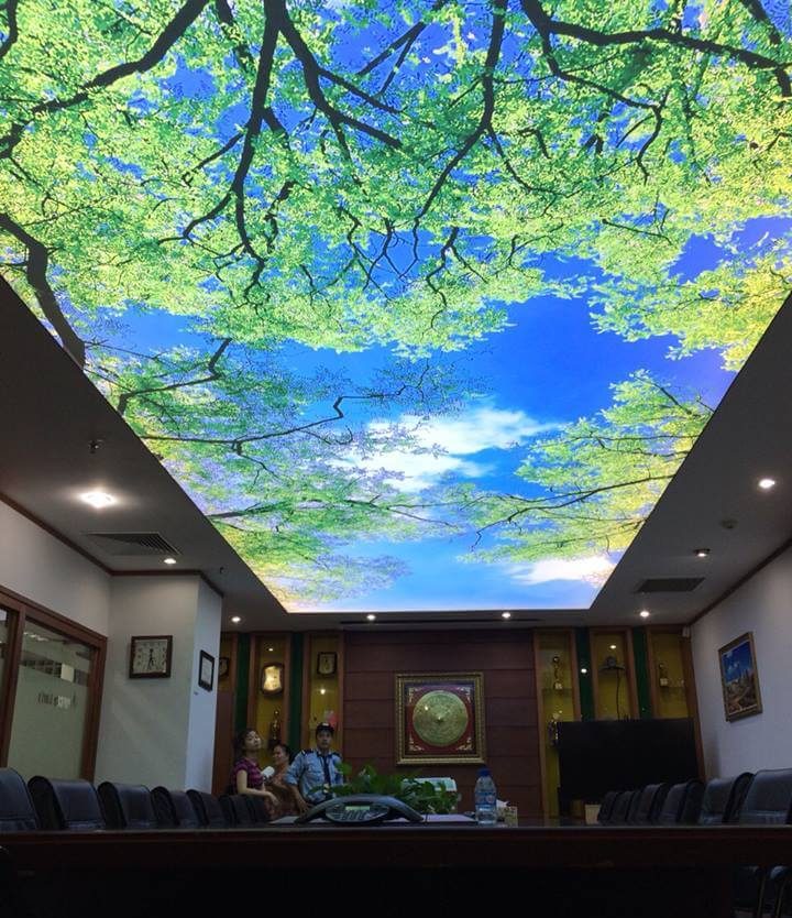 Vải xuyên sáng